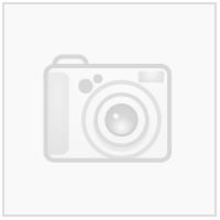 Nebula Woman Shorts GRN 3XL Teknisk kamp-og treningsshorts til dame